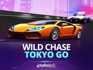 Wild Chase_ Tokyo Go game icon